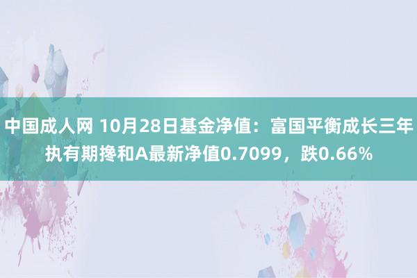 中国成人网 10月28日基金净值：富国平衡成长三年执有期搀和A最新净值0.7099，跌0.66%