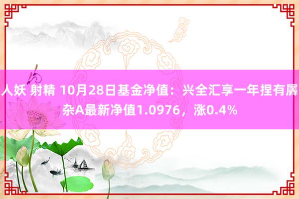 人妖 射精 10月28日基金净值：兴全汇享一年捏有羼杂A最新净值1.0976，涨0.4%