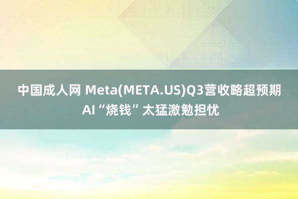 中国成人网 Meta(META.US)Q3营收略超预期 AI“烧钱”太猛激勉担忧