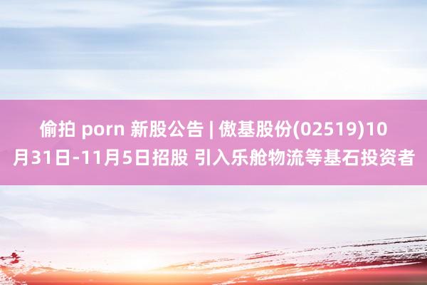 偷拍 porn 新股公告 | 傲基股份(02519)10月31日-11月5日招股 引入乐舱物流等基石投资者