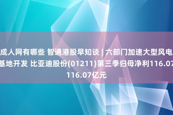 成人网有哪些 智通港股早知谈 | 六部门加速大型风电光伏基地开发 比亚迪股份(01211)第三季归母净利116.07亿元