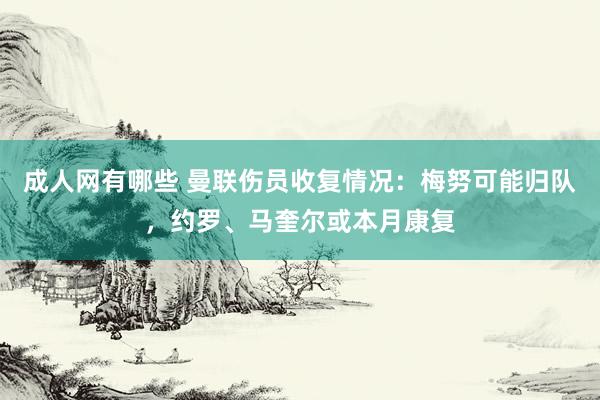 成人网有哪些 曼联伤员收复情况：梅努可能归队，约罗、马奎尔或本月康复