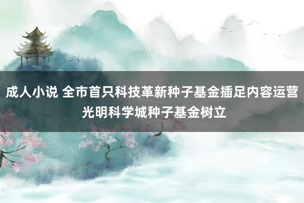 成人小说 全市首只科技革新种子基金插足内容运营 光明科学城种子基金树立