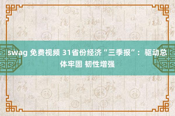 swag 免费视频 31省份经济“三季报”：驱动总体牢固 韧性增强