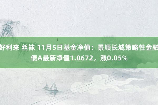 好利来 丝袜 11月5日基金净值：景顺长城策略性金融债A最新净值1.0672，涨0.05%