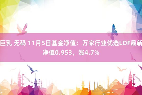 巨乳 无码 11月5日基金净值：万家行业优选LOF最新净值0.953，涨4.7%