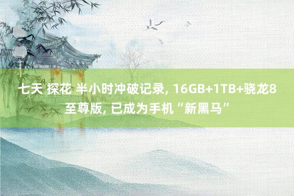 七天 探花 半小时冲破记录, 16GB+1TB+骁龙8至尊版, 已成为手机“新黑马”