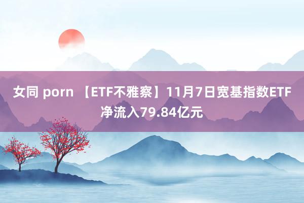 女同 porn 【ETF不雅察】11月7日宽基指数ETF净流入79.84亿元