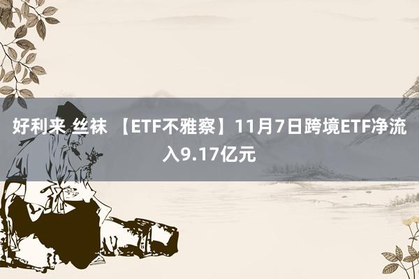 好利来 丝袜 【ETF不雅察】11月7日跨境ETF净流入9.17亿元