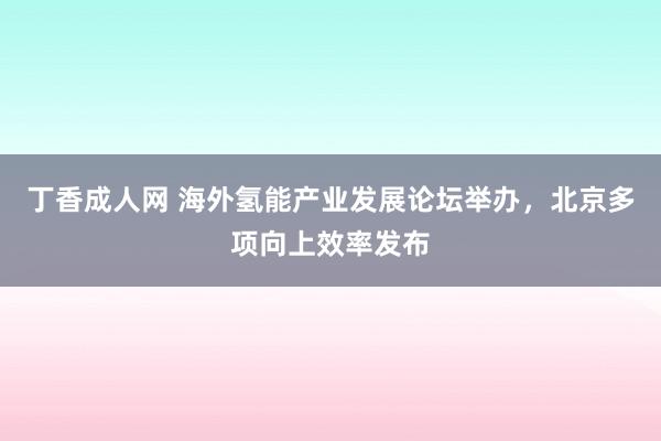 丁香成人网 海外氢能产业发展论坛举办，北京多项向上效率发布