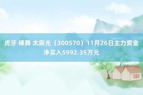 虎牙 裸舞 太辰光（300570）11月26日主力资金净买入5992.35万元