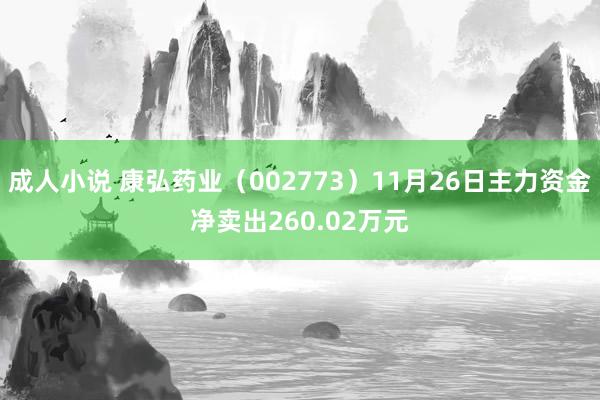 成人小说 康弘药业（002773）11月26日主力资金净卖出260.02万元