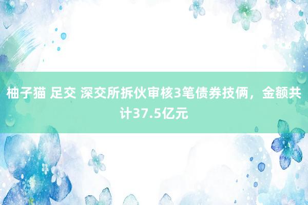 柚子猫 足交 深交所拆伙审核3笔债券技俩，金额共计37.5亿元