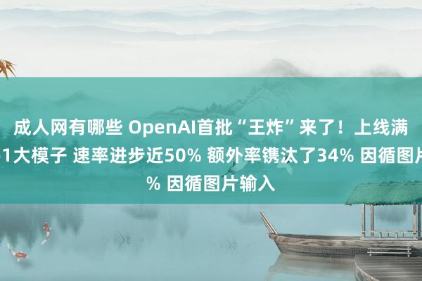 成人网有哪些 OpenAI首批“王炸”来了！上线满血版o1大模子 速率进步近50% 额外率镌汰了34% 因循图片输入