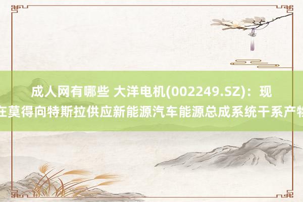 成人网有哪些 大洋电机(002249.SZ)：现在莫得向特斯拉供应新能源汽车能源总成系统干系产物