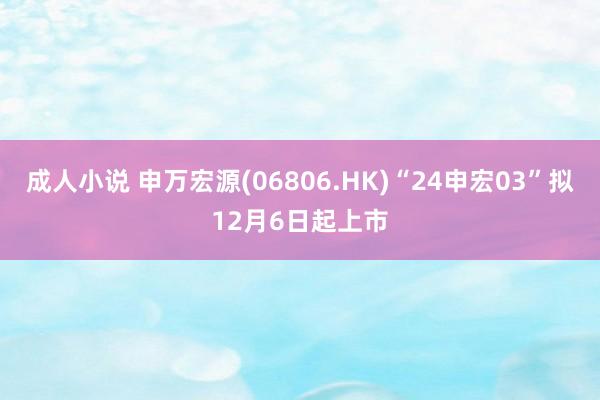 成人小说 申万宏源(06806.HK)“24申宏03”拟12月6日起上市