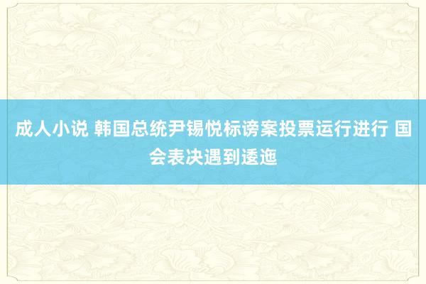 成人小说 韩国总统尹锡悦标谤案投票运行进行 国会表决遇到逶迤