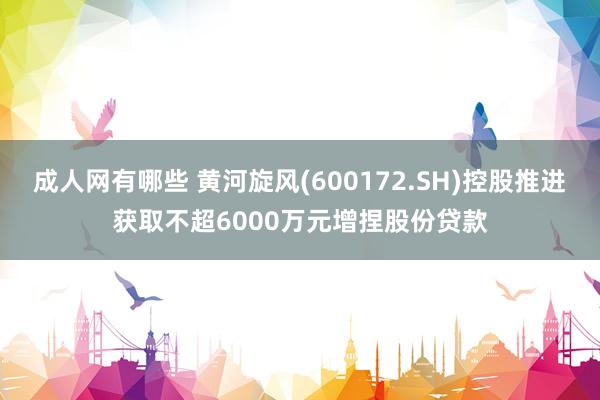 成人网有哪些 黄河旋风(600172.SH)控股推进获取不超6000万元增捏股份贷款