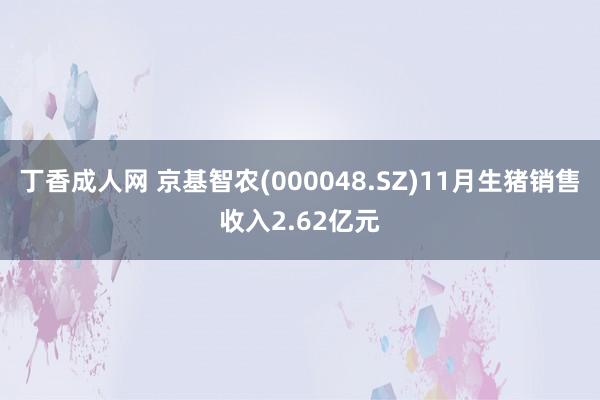 丁香成人网 京基智农(000048.SZ)11月生猪销售收入2.62亿元