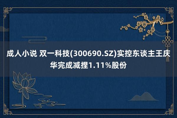 成人小说 双一科技(300690.SZ)实控东谈主王庆华完成减捏1.11%股份