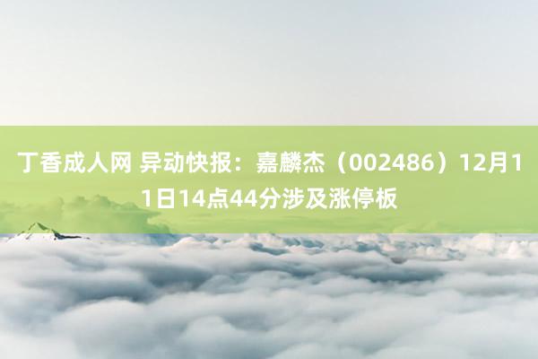 丁香成人网 异动快报：嘉麟杰（002486）12月11日14点44分涉及涨停板