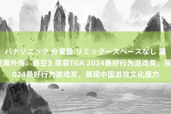 パナソニック 分電盤 リミッタースペースなし 露出・半埋込両用形 《黑外传：悟空》荣获TGA 2024最好行为游戏奖，展现中国游戏文化魔力