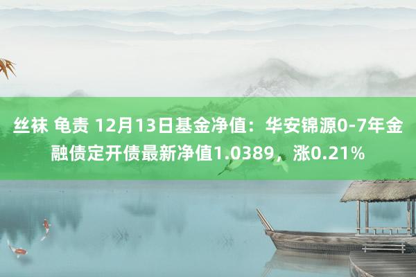 丝袜 龟责 12月13日基金净值：华安锦源0-7年金融债定开债最新净值1.0389，涨0.21%