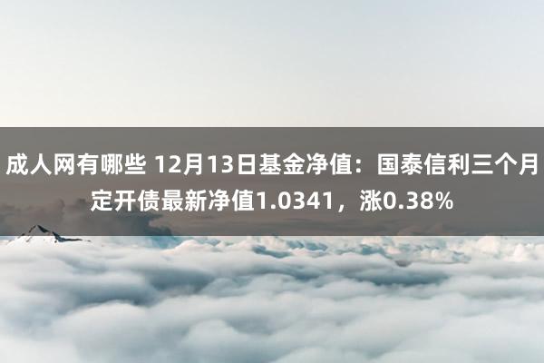 成人网有哪些 12月13日基金净值：国泰信利三个月定开债最新净值1.0341，涨0.38%