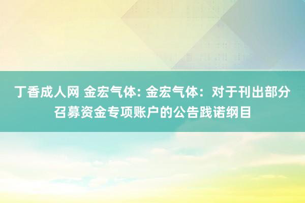 丁香成人网 金宏气体: 金宏气体：对于刊出部分召募资金专项账户的公告践诺纲目