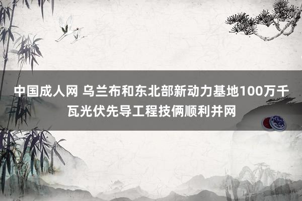 中国成人网 乌兰布和东北部新动力基地100万千瓦光伏先导工程技俩顺利并网