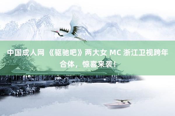 中国成人网 《驱驰吧》两大女 MC 浙江卫视跨年合体，惊喜来袭！