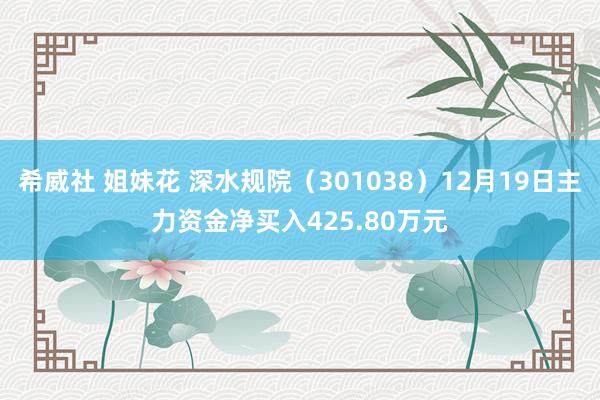 希威社 姐妹花 深水规院（301038）12月19日主力资金净买入425.80万元