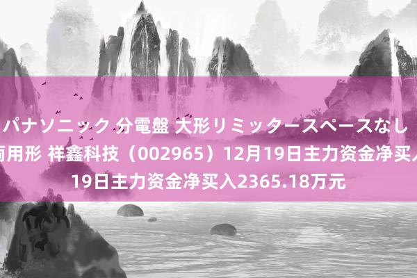 パナソニック 分電盤 大形リミッタースペースなし 露出・半埋込両用形 祥鑫科技（002965）12月19日主力资金净买入2365.18万元