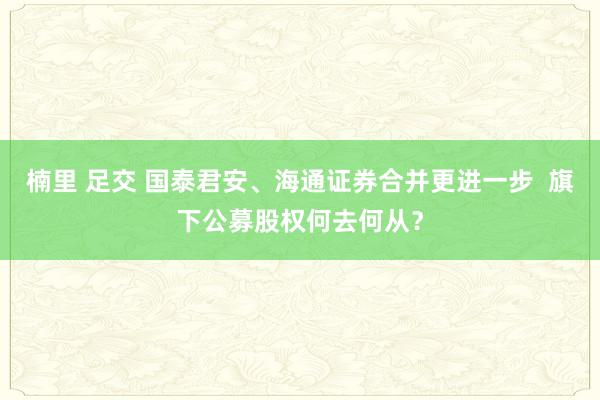 楠里 足交 国泰君安、海通证券合并更进一步  旗下公募股权何去何从？