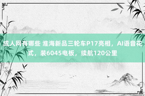 成人网有哪些 淮海新品三轮车P17亮相，AI语音花式，装6045电板，续航120公里