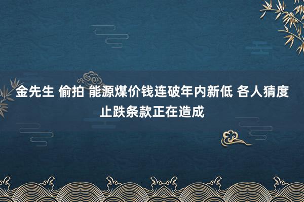 金先生 偷拍 能源煤价钱连破年内新低 各人猜度止跌条款正在造成