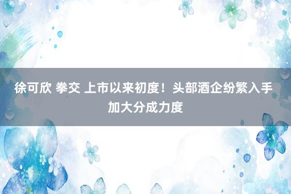 徐可欣 拳交 上市以来初度！头部酒企纷繁入手 加大分成力度