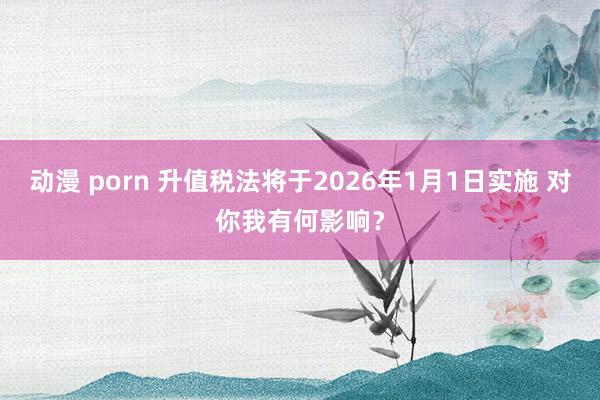 动漫 porn 升值税法将于2026年1月1日实施 对你我有何影响？