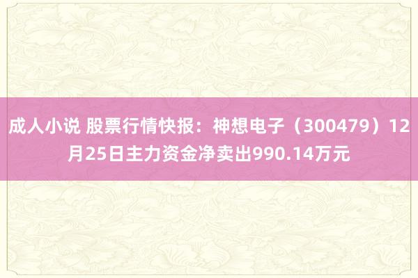 成人小说 股票行情快报：神想电子（300479）12月25日主力资金净卖出990.14万元