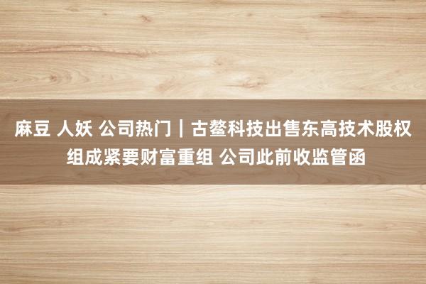 麻豆 人妖 公司热门｜古鳌科技出售东高技术股权 组成紧要财富重组 公司此前收监管函