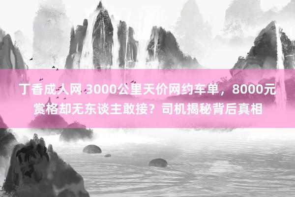 丁香成人网 3000公里天价网约车单，8000元赏格却无东谈主敢接？司机揭秘背后真相