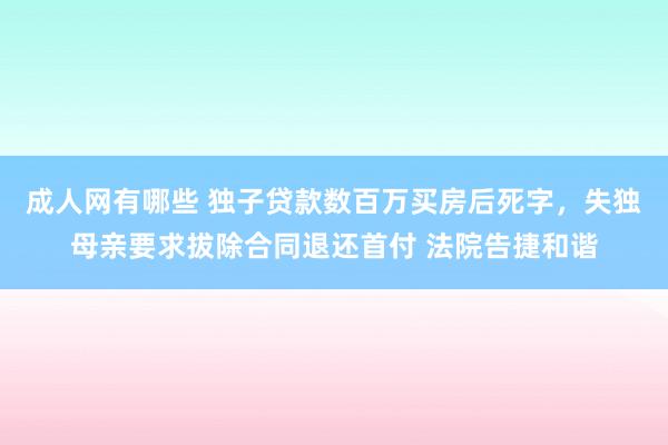 成人网有哪些 独子贷款数百万买房后死字，失独母亲要求拔除合同退还首付 法院告捷和谐