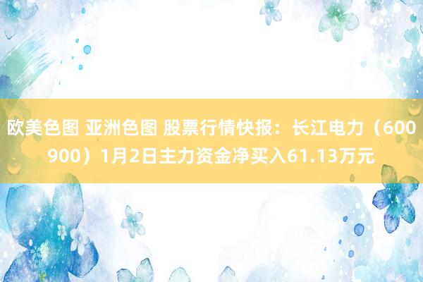 欧美色图 亚洲色图 股票行情快报：长江电力（600900）1月2日主力资金净买入61.13万元