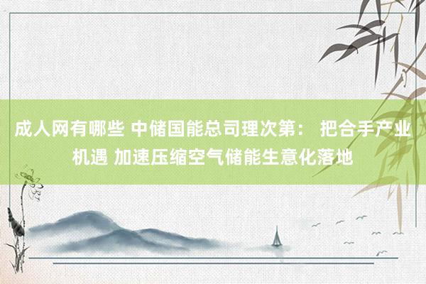 成人网有哪些 中储国能总司理次第： 把合手产业机遇 加速压缩空气储能生意化落地