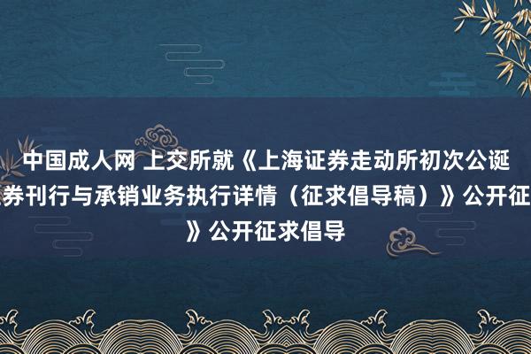 中国成人网 上交所就《上海证券走动所初次公诞生行证券刊行与承销业务执行详情（征求倡导稿）》公开征求倡导