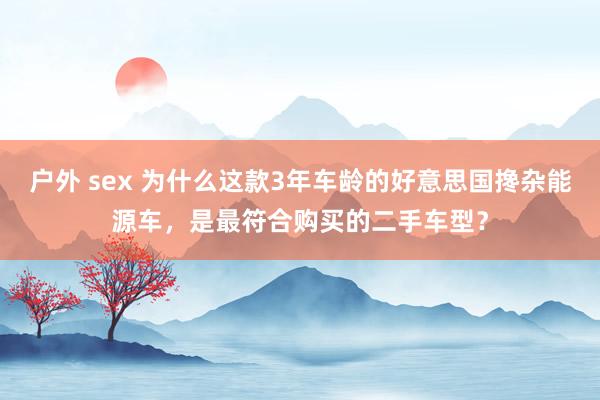 户外 sex 为什么这款3年车龄的好意思国搀杂能源车，是最符合购买的二手车型？