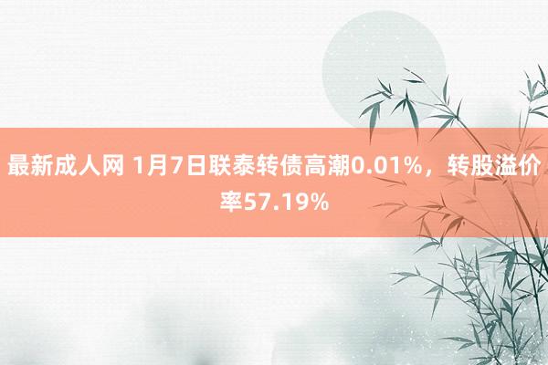 最新成人网 1月7日联泰转债高潮0.01%，转股溢价率57.19%