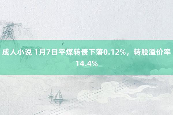 成人小说 1月7日平煤转债下落0.12%，转股溢价率14.4%