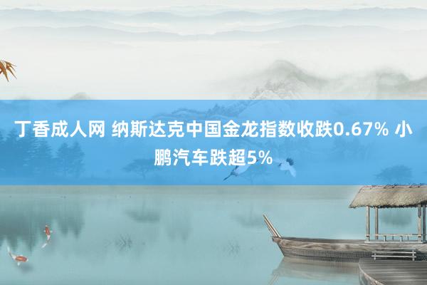 丁香成人网 纳斯达克中国金龙指数收跌0.67% 小鹏汽车跌超5%