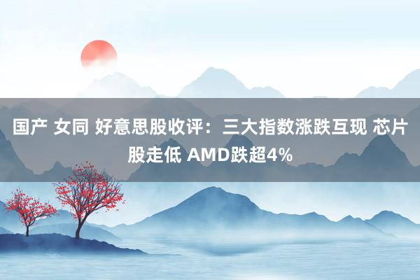 国产 女同 好意思股收评：三大指数涨跌互现 芯片股走低 AMD跌超4%